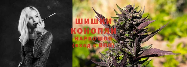 дживик Сясьстрой